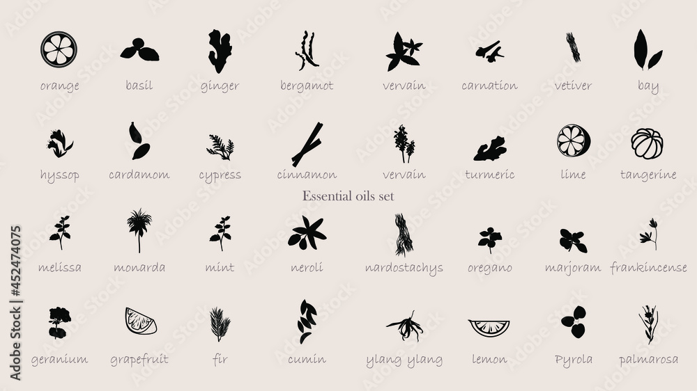 A large set of essential oil icons. Plants for aromatherapy. Oil icons for stores and magazines. The best herbs for aromatherapy. Set of medicinal plants. Vector collection for perfumes and cosmetic. A large set of essential oil icons. Plants for aromatherapy. Oil icons for stores and magazines. The best herbs for aromatherapy. Set of medicinal plants. Vector collection for perfumes and cosmetic.