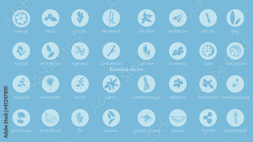 A large set of essential oil icons. Plants for aromatherapy. Oil icons for stores and magazines. The best herbs for aromatherapy. Set of medicinal plants. Vector collection for perfumes and cosmetic.
