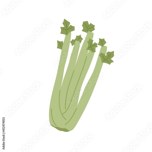 Bunch of fresh celery stalks with leaf. Raw green vegetable. Crunchy healthy snack. Flat vector illustration of vegetarian superfood isolated on white background