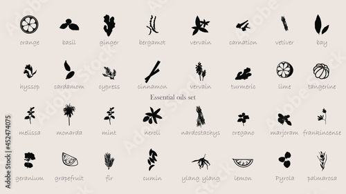 A large set of essential oil icons. Plants for aromatherapy. Oil icons for stores and magazines. The best herbs for aromatherapy. Set of medicinal plants. Vector collection for perfumes and cosmetic.