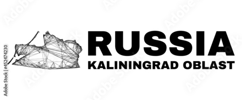 carcass irregular mesh Kaliningrad Region map. Abstract lines form Kaliningrad Region map. Linear carcass flat net in vector format.