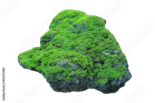 Rock covered in green moss isolated on white background