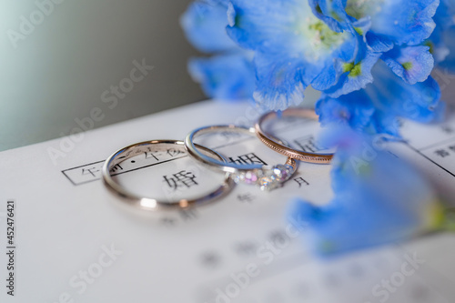 婚姻届と婚約指輪と結婚指輪とデルフィニウム