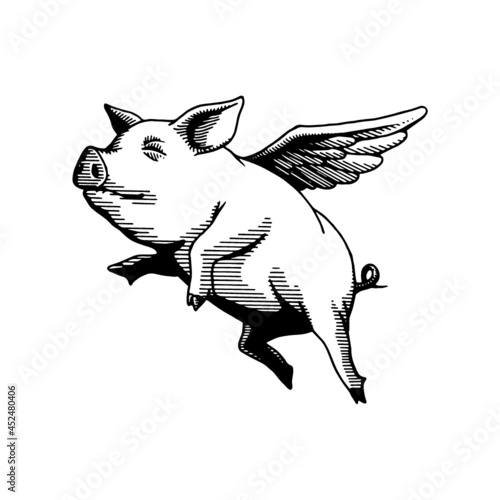 flying pig, hand drawn illustration