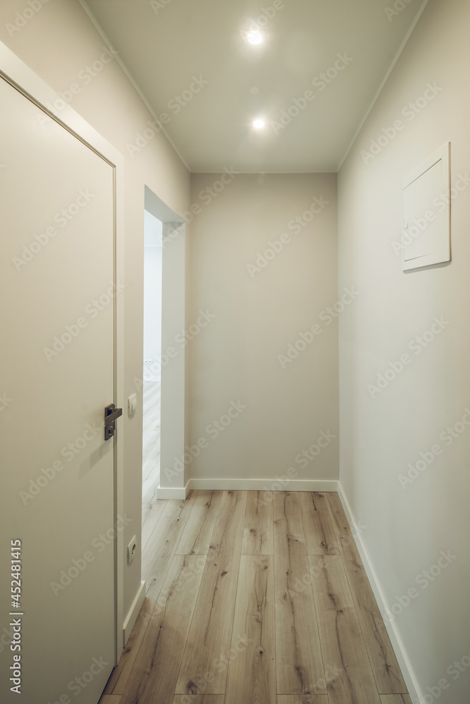Contemporary apartment of entrance hall in modern flat. White walls. Parquet floor. Contemporary apartment of entrance hall in modern flat. White walls. Parquet floor.