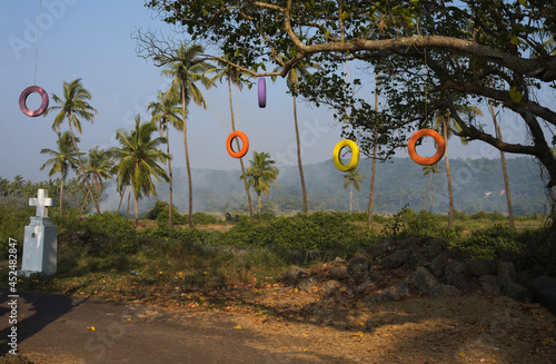 orange tree on the road
