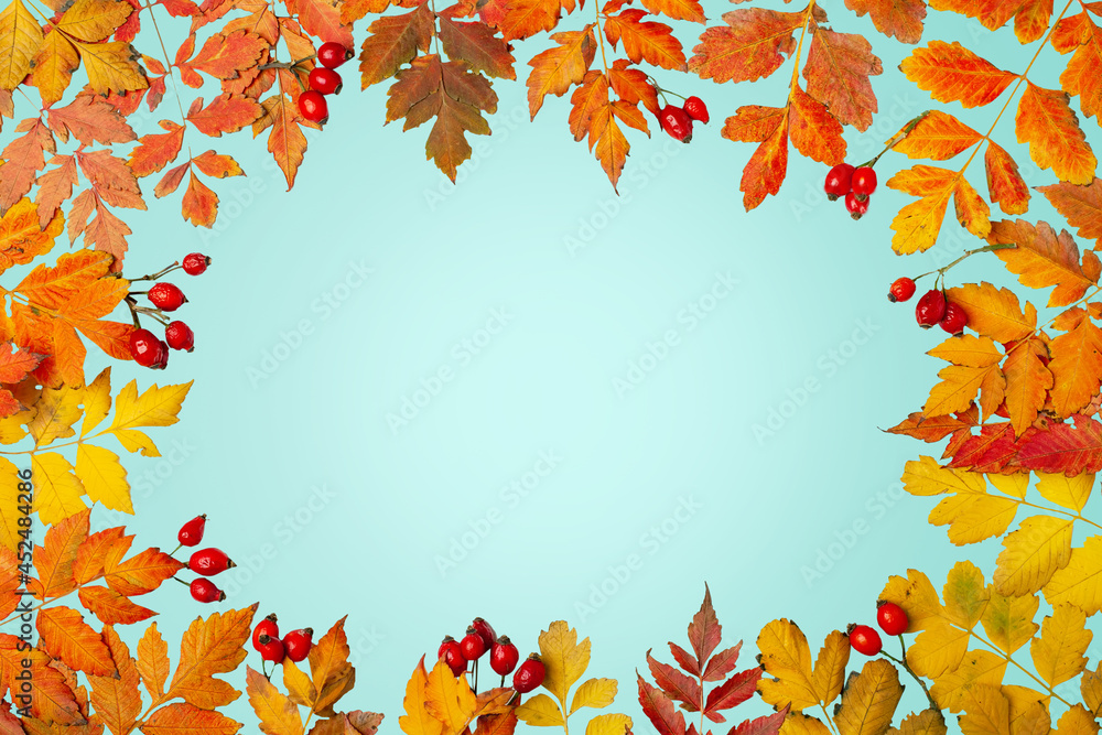 Autumn background. A frame made of autumn leaves. Autumn banner. Background with copy space. Horizontal. Top view. Autumn background. A frame made of autumn leaves. Autumn banner. Background with copy space. Horizontal. Top view.