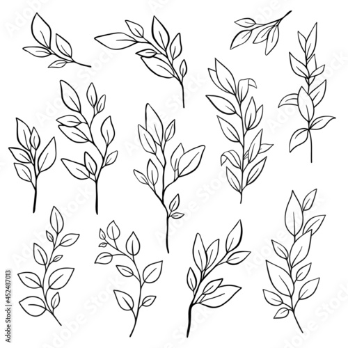 set of black hand drawn line doodle floral branches, tree leaves, tropical elements, laurel. Design nature element collection isolated on white. Vector illustration.