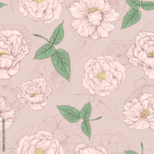 Seamless pattern with pink flowers © Hmarka