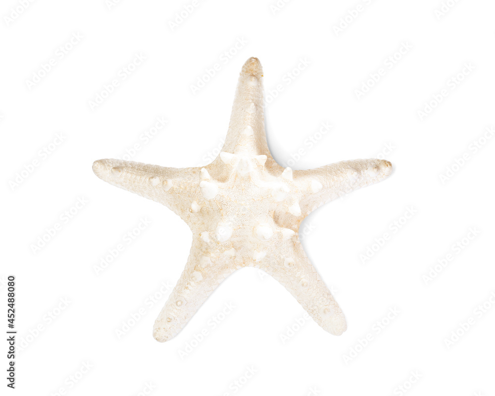 Beautiful sea star isolated on white, top view. Beach object