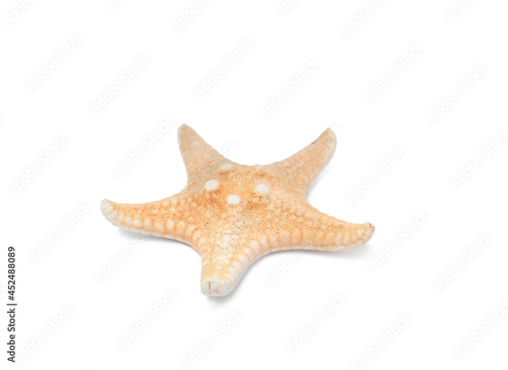 Beautiful sea star isolated on white. Beach object Beautiful sea star isolated on white. Beach object