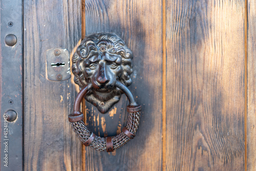 Lion head door handle on classic vintage door with copy space