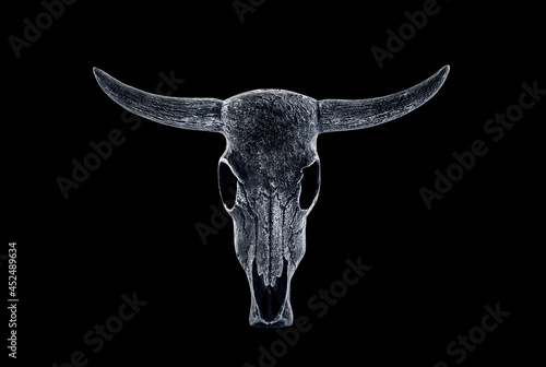 Animal horned skull isolated on black background with clipping path