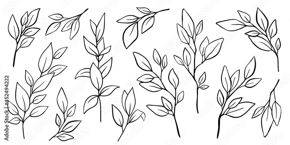 Fototapeta premium set of black hand drawn line doodle floral branches, tree leaves, tropical elements, laurel. Design nature element collection isolated on white. Vector illustration.