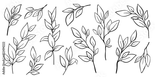 set of black hand drawn line doodle floral branches, tree leaves, tropical elements, laurel. Design nature element collection isolated on white. Vector illustration.