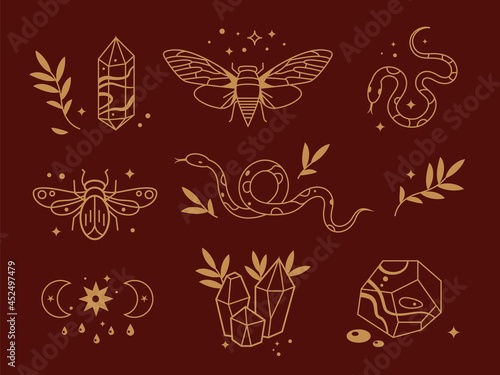 Line mystical elements. Magic insects  moon and stars elements. Flat outline snake and crescent in cage. Bohemian tattoo garish vector collection