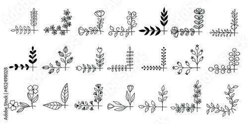 Botanical frame set 3