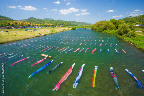 端午の節句のこいのぼり　山口県防府市佐波川