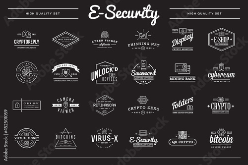 Big Set of Vector Cyber Security Identity Badges and Signs