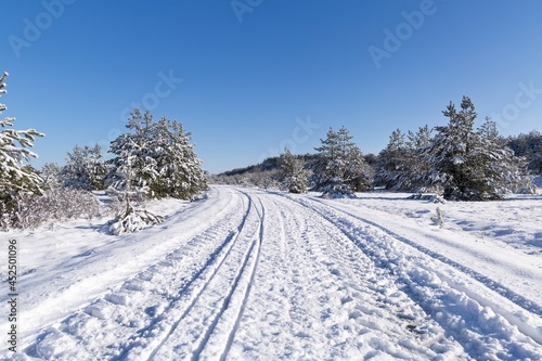 Frost and snow covered road in winter forest landscape background with tire tracks © Shawn Hempel