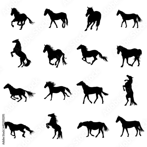 Set of black horses silhouettes on white background