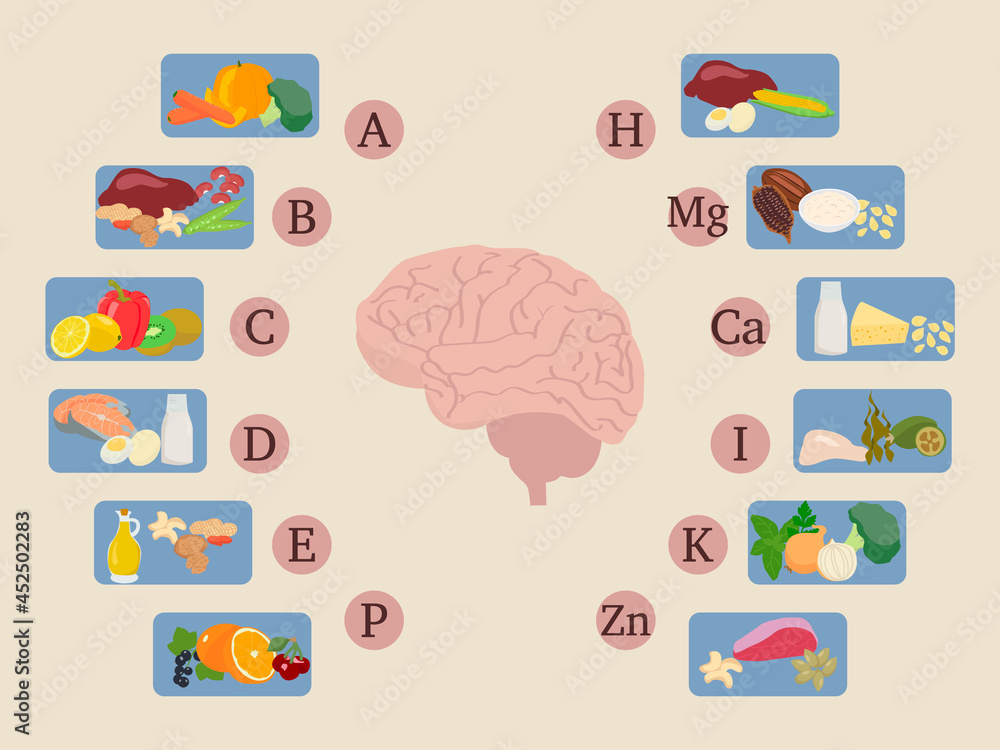 Vector infographics of vitamins and minerals for a healthy brain. Micro