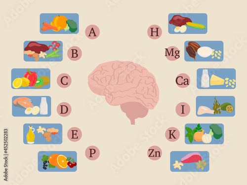 Vector infographics of vitamins and minerals for a healthy brain. Micro and macronutrients and vitamins, including foods for healthy brain nutrition.