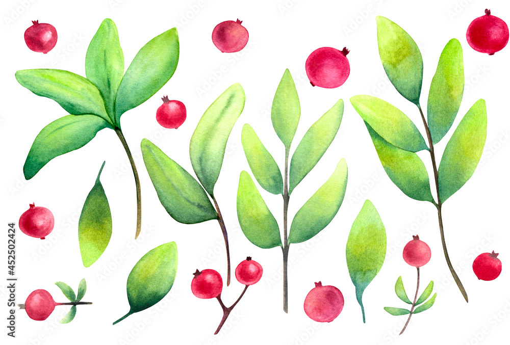 Set with pomegranates and lush green foliage isolated on white background. Watercolor illustration. Beautiful collection of green leaves Set with pomegranates and lush green foliage isolated on white background. Watercolor illustration. Beautiful collection of green leaves