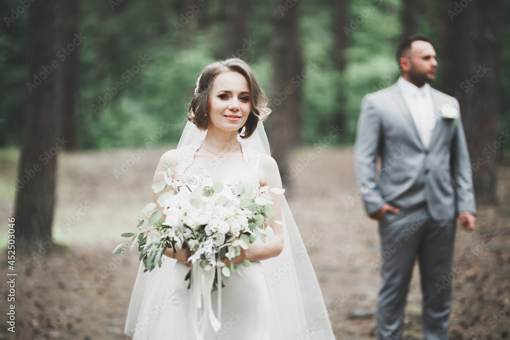 Beautiful bride and groom embracing and kissing on their wedding day Beautiful bride and groom embracing and kissing on their wedding day
