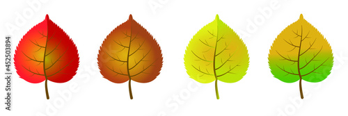 Autumn linden leaves in red, orange, yellow, brown and green colors.