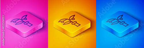 Isometric line Plant breeding icon isolated on pink and orange, blue background. Plants growing in the test tubes. Organic food ,agriculture and hydroponic. Square button. Vector