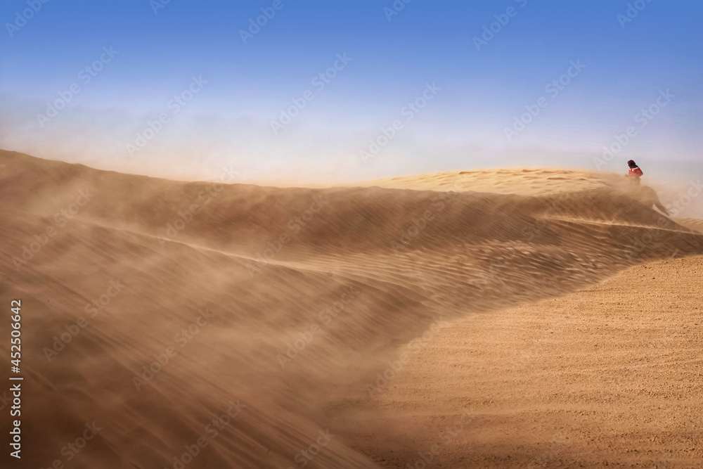 Fototapeta premium Lonely sand dunes in a strong wind under the sky against the background of arid desert