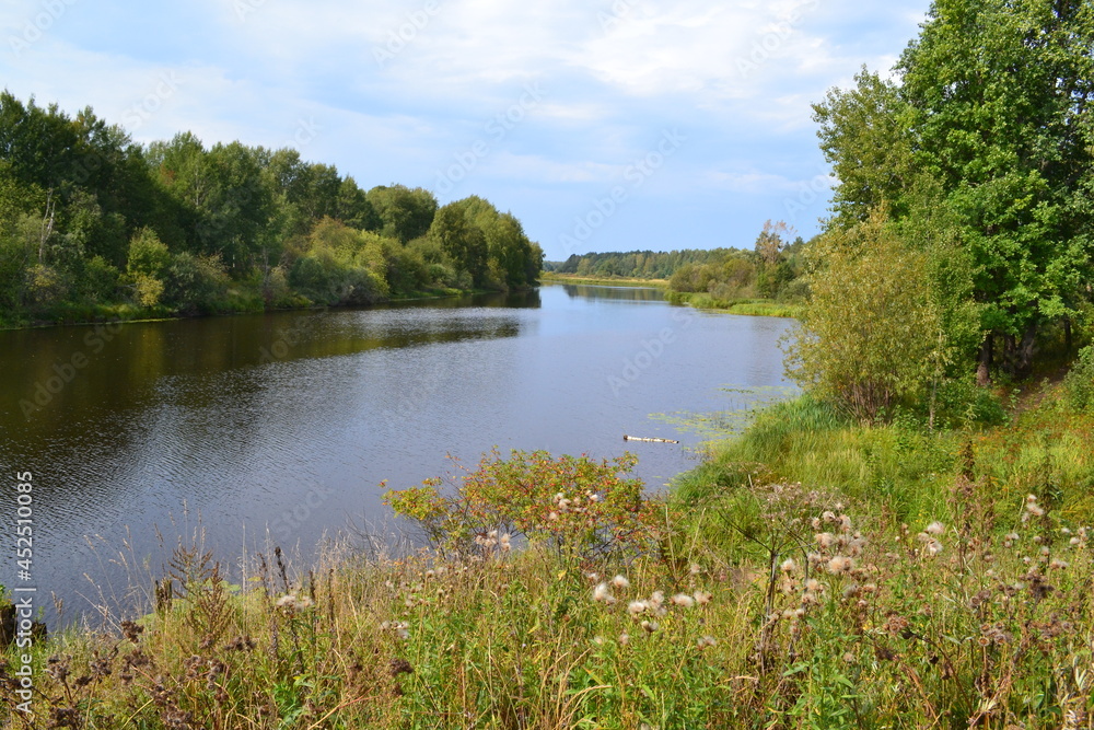 Obraz premium Lake in the forest, algae on the water