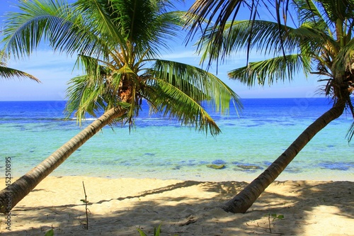 Paradise beach with bent coconut trees