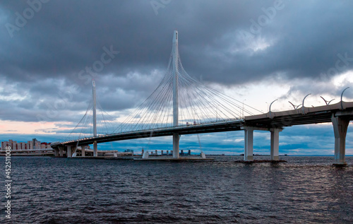View of the cable bridge through the western high-speed diameter. Saint Petersburg, Russia © OlegMirabo