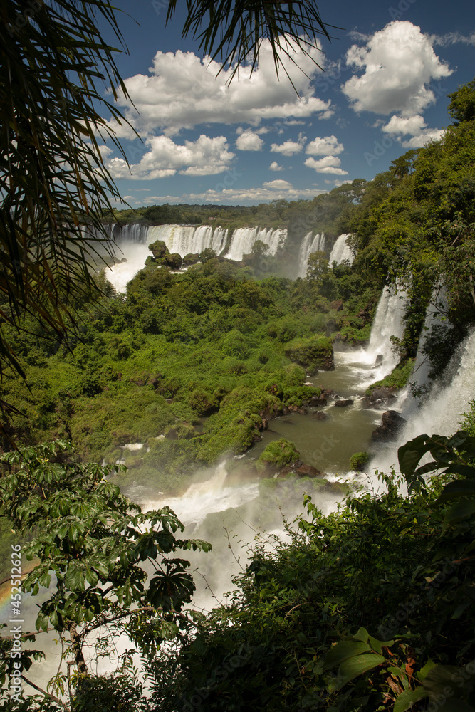 Fototapeta premium The Iguazu waterfalls in the frontier between Argentina and brazil. View of the falls in the tropical jungle. The falling white water and vegetation foliage.