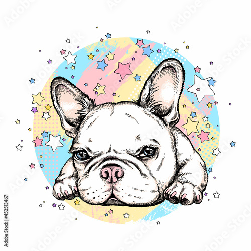 Cute french bulldog on a background of stars. Image for printing on any surface