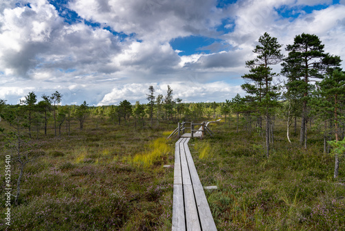 boardwalk leading through the heart of the Keremi National Park in Latvia