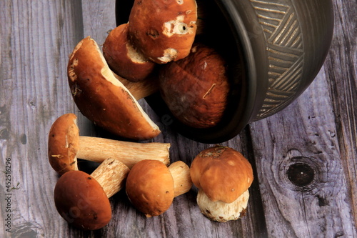 Mushroom Boletus on dark Background. Boletus edulis mushrooms on old wooden background. organic porcini Mushroom
