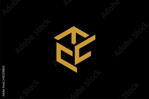 Hexagon logo design. Letter T in cube illustration sign. Outline polygonal letters vector icons.