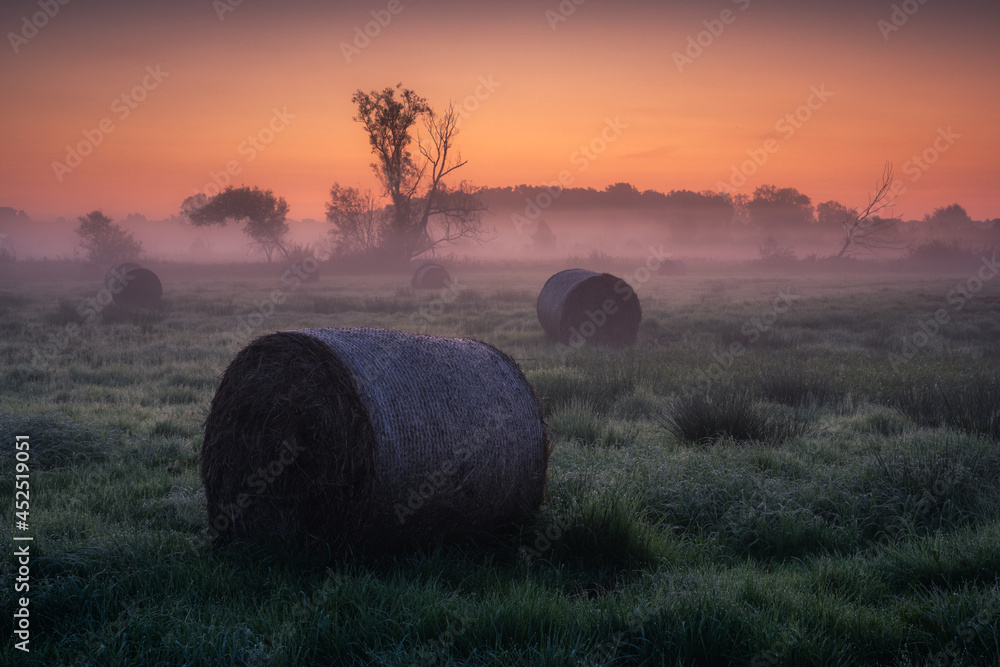 Foggy morning in the Jeziorka river valley in Runow, Masovia, Poland