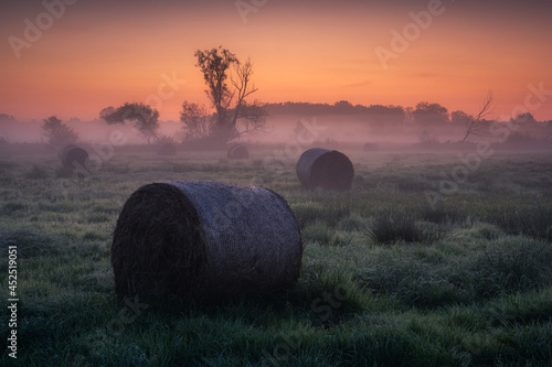 Obraz na płótnie Foggy morning in the Jeziorka river valley in Runow, Masovia, Poland w salonie