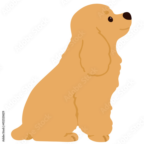 Flat colored adorable simple English Cocker Spaniel sitting in side view