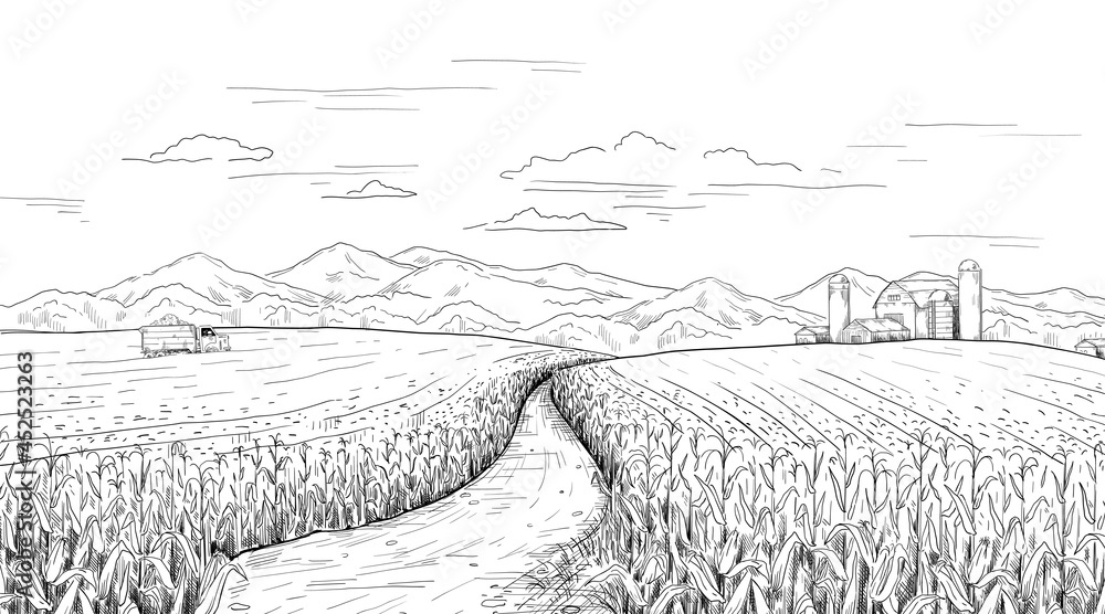 Rural road graphic black white village landscape sketch illustration vector  Stock Vector | Adobe Stock