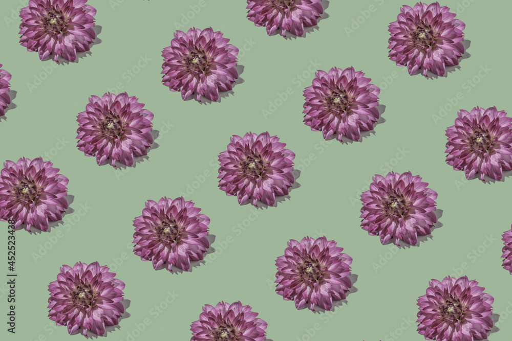 Graphic minimal floral pastel romantic pattern with elegant dahlia. Flora trend creative concept. Graphic minimal floral pastel romantic pattern with elegant dahlia. Flora trend creative concept.