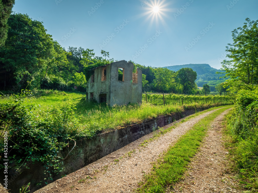 Green landscape with a wine field and an old bricked house in Italy