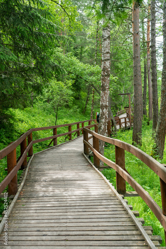 A wooden path with high pirils among the green forest.