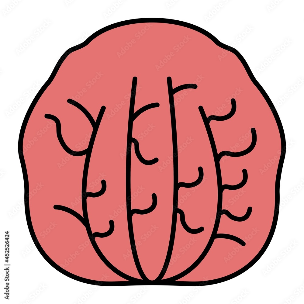 Vector Radicchio Filled Outline Icon Design Vector Radicchio Filled Outline Icon Design