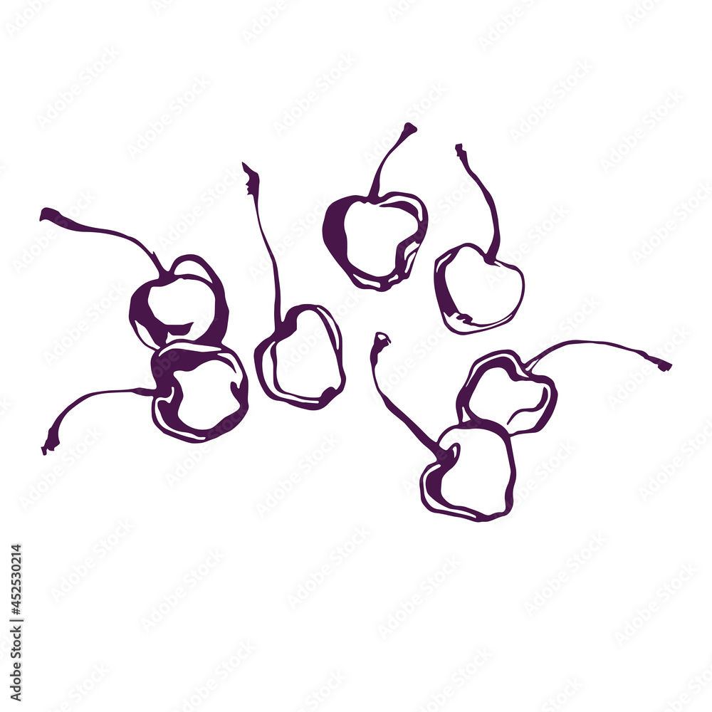 Sketch of berries on a white background. vector illustration. Sketch of berries on a white background. vector illustration.