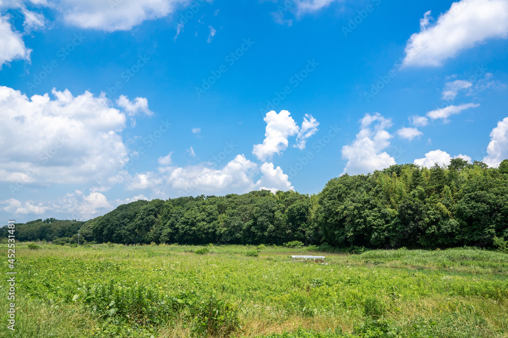 田園風景 田園風景